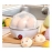 Egg Cooker Automatic Power Off Home Small 1-person Multi-Functional Steamed Egg Custard Boiled Egg Machine Breakfast Artifact