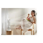 Desktop Fan Swinging Head Multifunction Portable Plug-in Bass Fan Summer Small Appliances