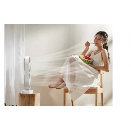 Desktop Fan Swinging Head Multifunction Portable Plug-in Bass Fan Summer Small Appliances